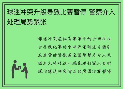 球迷冲突升级导致比赛暂停 警察介入处理局势紧张