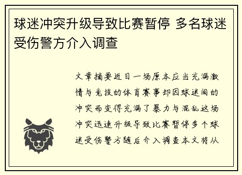 球迷冲突升级导致比赛暂停 多名球迷受伤警方介入调查
